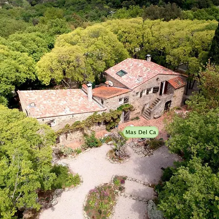 Mas Del Ca Adult Only Соред