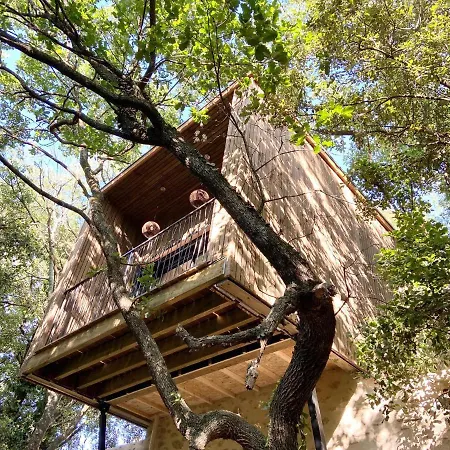 Bed and breakfast Mas Del Ca Adult Only