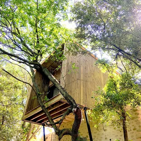 Mas Del Ca Adult Only Соред