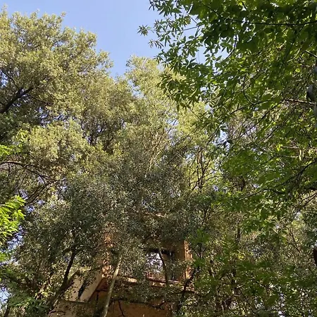 Bed and breakfast Mas Del Ca Adult Only