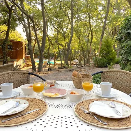 Bed and breakfast Mas Del Ca Adult Only *