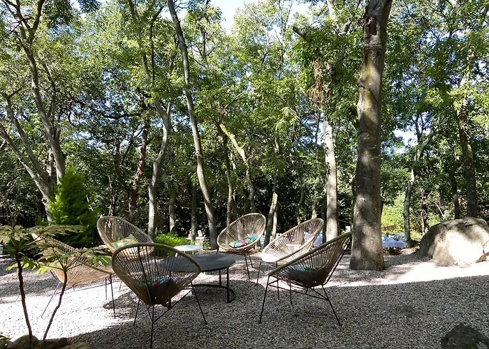 Mas Del Ca Adult Only Bed & Breakfast *