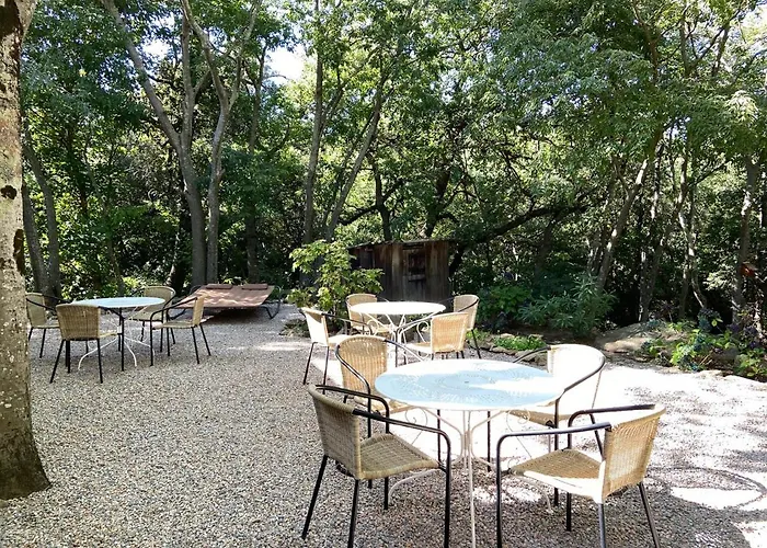 Mas Del Ca Adult Only Bed & Breakfast