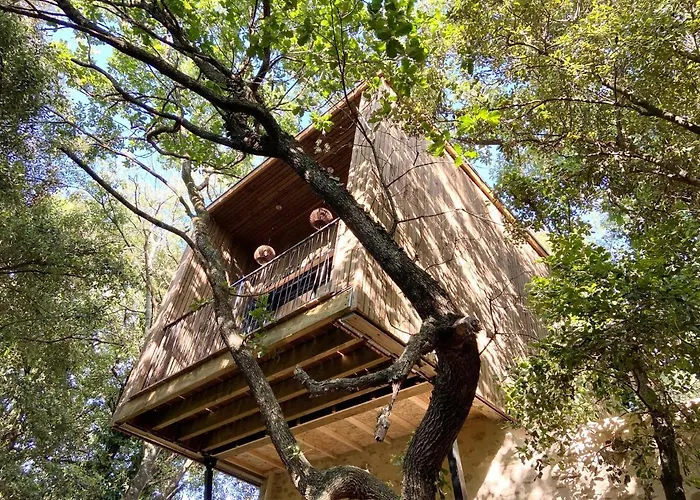 Bed & Breakfast Mas Del Ca Adult Only