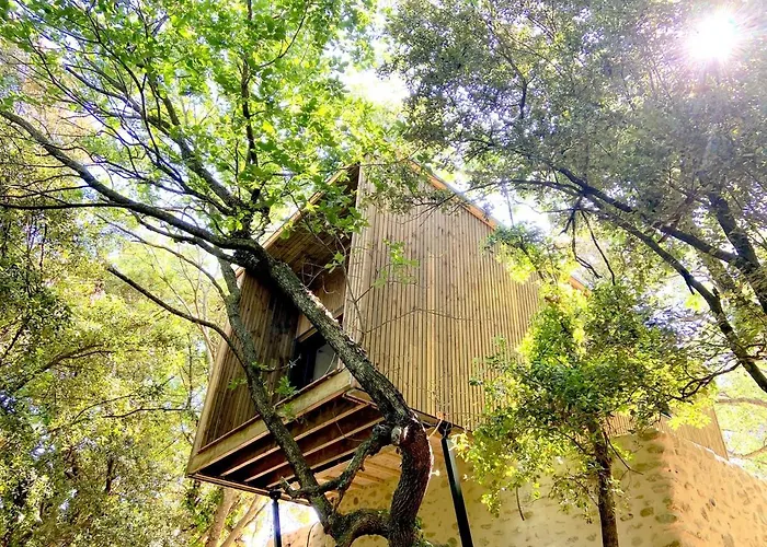 Mas Del Ca Adult Only Sorède