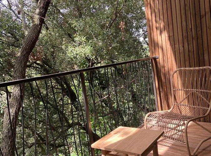 Mas Del Ca Adult Only *