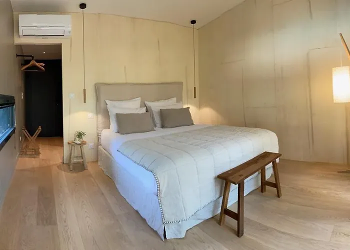 Bed & Breakfast Mas Del Ca Adult Only Sorède