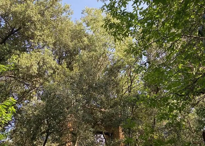 Bed & Breakfast Mas Del Ca Adult Only